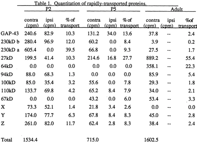 Table  1. Ouantitation of ratidlv-transoorted  Droteins. P2 P5 contra  ipsi  % of (cpm)  (cpm)  transport 240.6 280.4 605.4 199.5 0.0 88.0 85.0 133.7 0.0 73.3 174.0 261.0 82.9 96.9 0.041.40.068.335.469.8 0.052.177.782.0 10.3 12.0 39.510.3 0.0 1.33.24.20.01