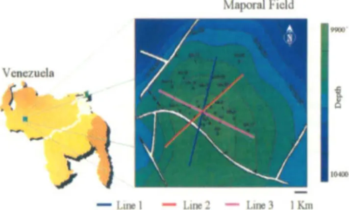 Figure 2 shows three stacked seismic sections tied with each  other at their  intersecting point  (CDP 224)