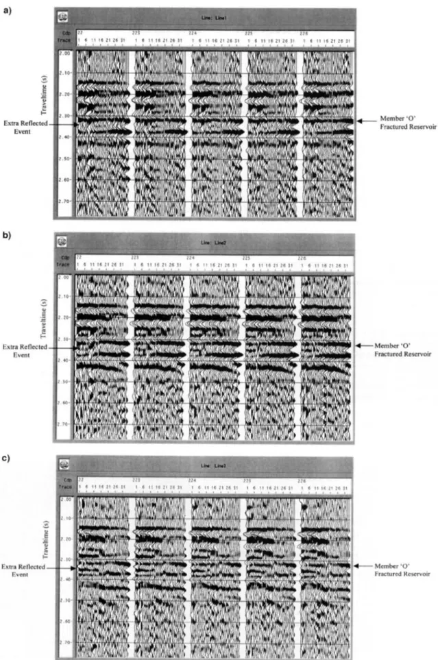 FIG.  6.  Prestack  CDP gathers: CDP 222-226  on (a) line  I ,  (b) line 2. and (c) line 3
