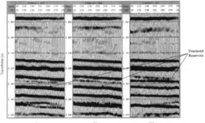 FIG.  7.  Overall stacked seismic profile, stacked with full-range  offset data on (i) line  1