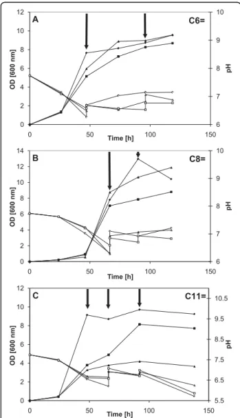 Figure 3 Growth of M. extorquens strains. Growth of the wildtype M. extorquens strain and of the two recombinant M.