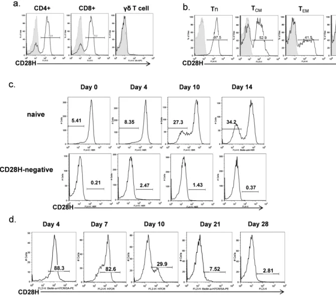 Figure 2. Regulation of CD28H expression in human T cells