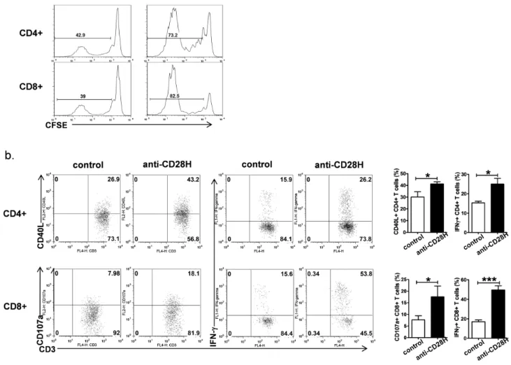 Figure 4. Engagement of the CD28H receptor promotes human T cell response in vivo NSG mice transferred with human PBMCs were injected with control or CD28H mAb.