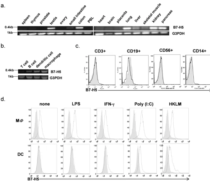 Figure 6. B7-H5 expression