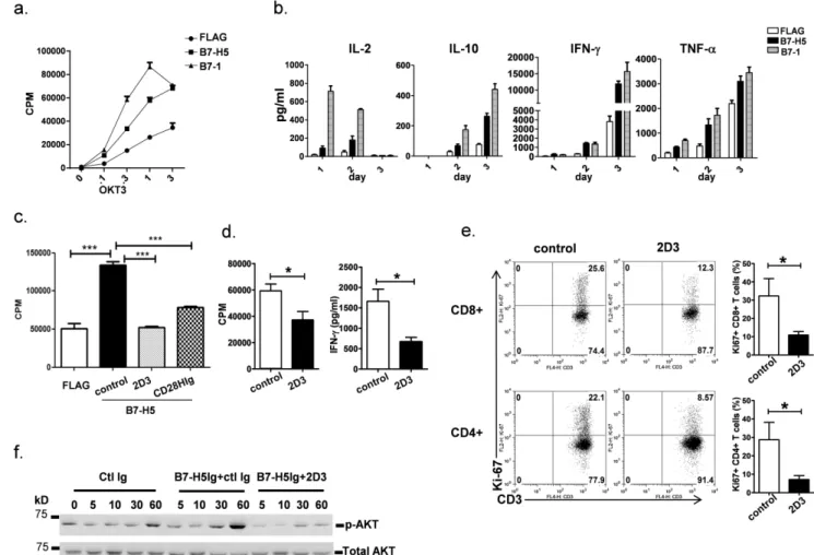 Figure 7. B7-H5 engagement co-stimulates human T cells through CD28H