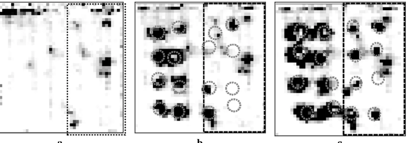 Figure 8. Velocimeter signals produced at 600 mJ loading in black and at 800 mJ loading in  grey