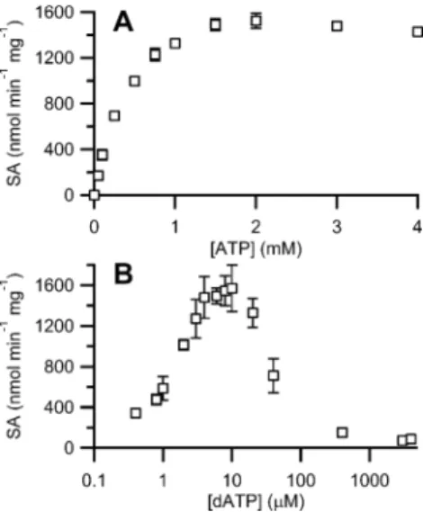 Table 1. Optimized CDP Reduction Activity of B. subtilis NrdF a