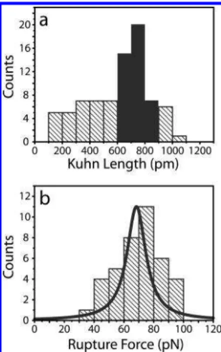 Figure 4. Histograms of single molecule force spectroscopy events for unbinding of ConA from mannose at a loading rate of 8140 pN/