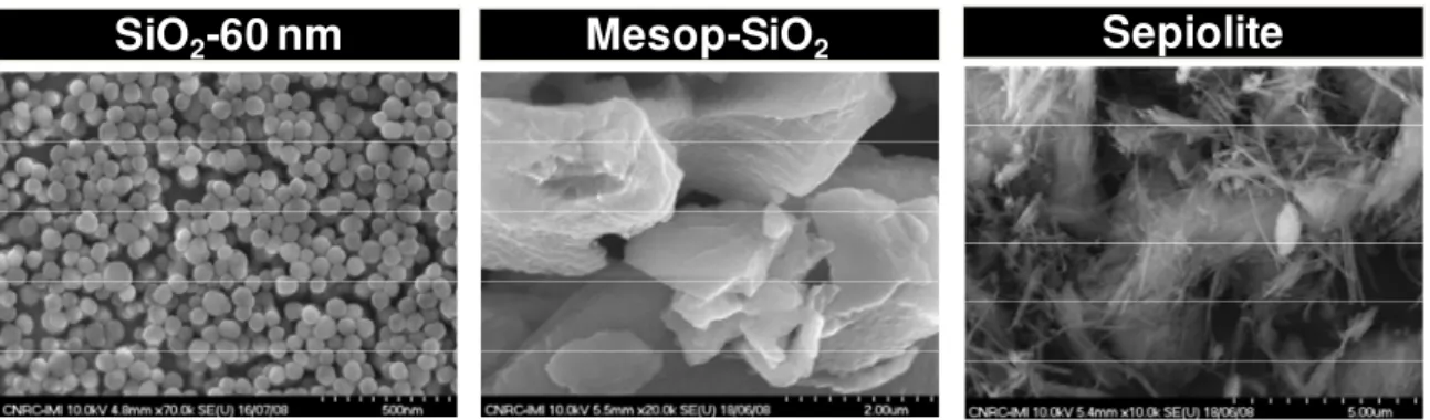 Figure 1. SEM micrographs on selected inorganic fillers. 
