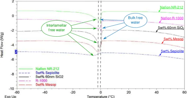 Figure 5. DSC on series of extruded nanocomposites PEMs with different surface area  inorganic fillers