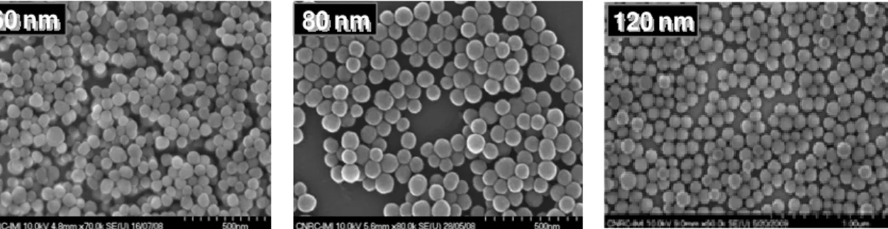 Figure 2. SEM micrographs on silica nanoparticles synthesized by base catalyzed sol- sol-gel reaction