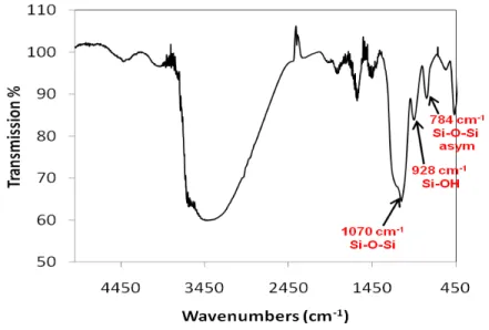 Figure 3. ATR-FTIR spectra recorded on 60 nm SiO 2  nanoparticles. 