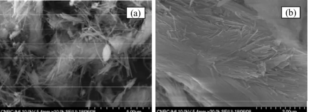 Figure 5 shows SEM micrographs on sepiolite clay before and after grafting with alkyl  sulfonic acid groups