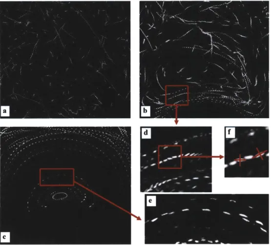 Figure  2-7.  Trajectories  of the  bacteria  P. haloplanktis in vortices  of different  strength:  (a)  No  flow;  (b) Uc = 36.3  pim  s 1 ; (c)  Uc =  363  tm  s- 1 