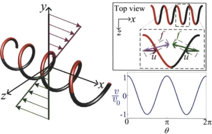 Figure  3-4.  Schematic  of a right-handed  helix  in  simple  shear  flow.  Red  shading  and  black  shading  show  the top  and  bottom halves  of the  helix