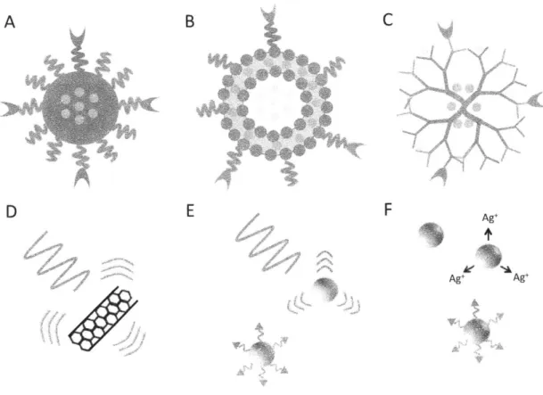 Figure 2.  4.  Antibacterial  Nanoparticle  Platforms.  A)  A  polymeric  nanoparticle  (NP) with  drug  encapsulated  in  the  interior  (green)  protected  with  a  layer  of poly(ethylene glycol)  (PEG)
