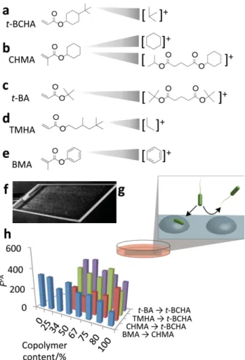 Figure 1.      a–e) Chemical structures of monomers used in study and the  SIMS secondary ions specifi c to each monomer