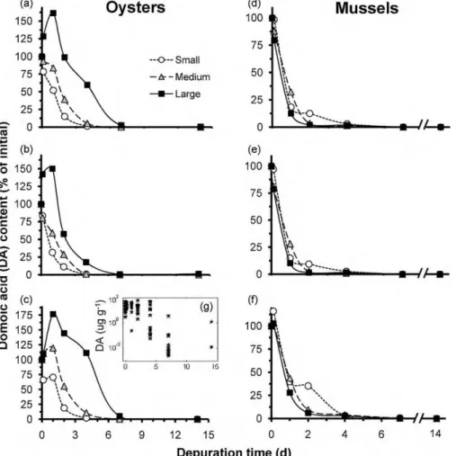 Fig. 4. Percent of initial domoic acid (DA) content in oysters (Crassostrea virginica, left panels) and mussels (Mytilus edulis, right panels) of different size classes during 14 d of depuration on a non-toxic algal diet following DA uptake: (a, d) whole t
