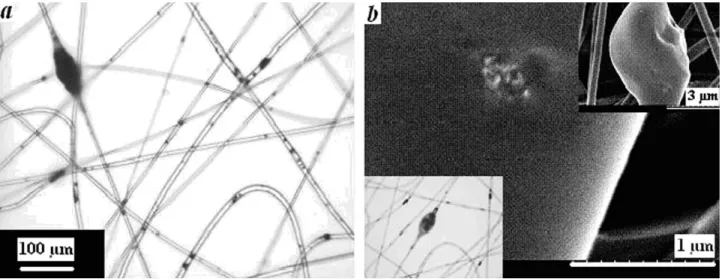 FIGURE 2 CNT localization inside nanofibers and at nanofibers surface; PET (10 wt %)/MWCNT (3 wt %); (a) optical microscopy;