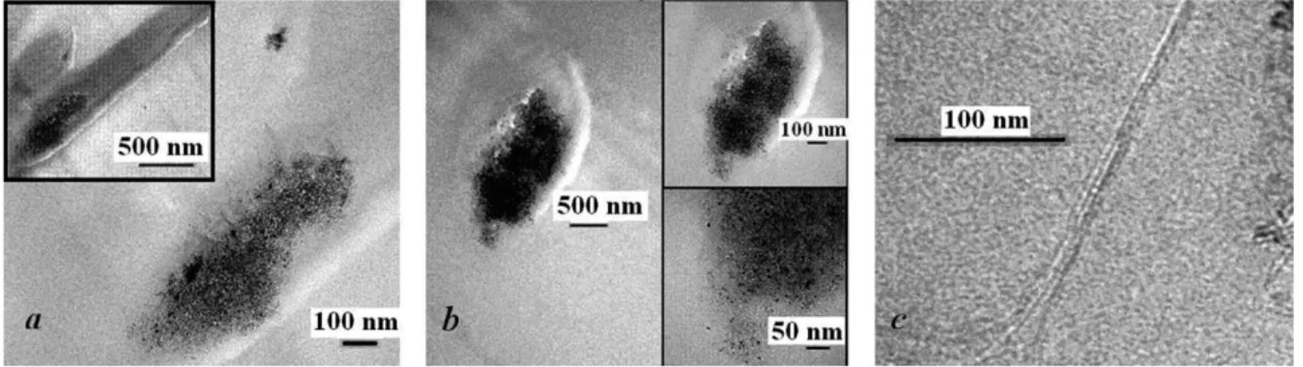FIGURE 4 TEM photos of CNT localization in PET/MWCNT (3 wt %) electrospun nanofibers; (a) CNT aggregates along nanofiber axis; (b) CNT aggregates across nanofiber; (c) single CNT along nanofiber axis.