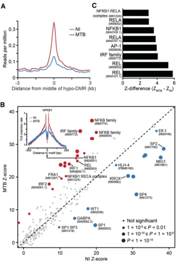 Figure 4. MTB-DMRs are bound by signal-dependent transcription fac- fac-tors. (A) Tn5-accessibility profiles before (NI) and after MTB infection, ±3 kb around the midpoints of hypomethylated regions