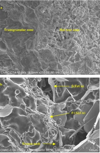 Figure 6: SEM pictures of partially broken bar of alloy B1213. 