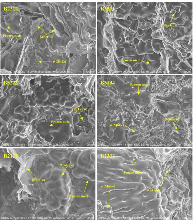 Figure 7: SEM pictures of completely broken bar of alloys B2312, B3511, B3223, B3134, B2121, and B2332.