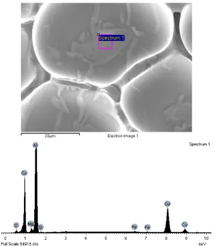 Table 6: Composition of the frozen liquid in the area shown in Figure 6. 