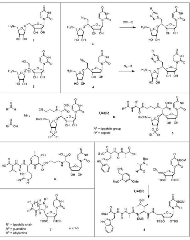 Figure 8. Overview of selected examples of nucleoside antibiotic analogues 
