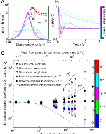 Fig. 3. Hydrodynamic cell rotation hinders transverse transport and leads to giant stream-wise dispersion