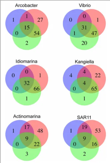 FIGURE 6 | Functional diversity in the traps on KEGG KO level as percentage of total KO diversity for the genus, as predicted by the SAGs (blue), the closest reference genome (red) and the genus specific metagenome from the same HD9 trap as the SAGs were i
