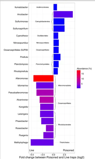 FIGURE 2 | Difference in abundance (expressed as fold change between normalized taxonomic counts of read matches to the RefSeq database) in the initial and processed community for the 10 most abundant significantly enriched archaeal and bacterial genera in
