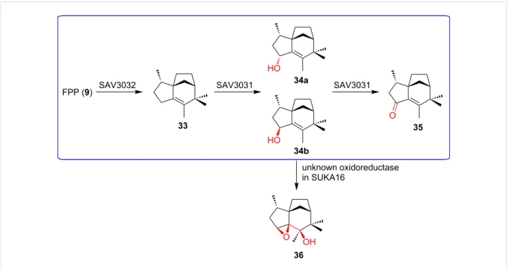 Figure 8: Off-target effects observed during heterologous expression of terpenoid BGCs
