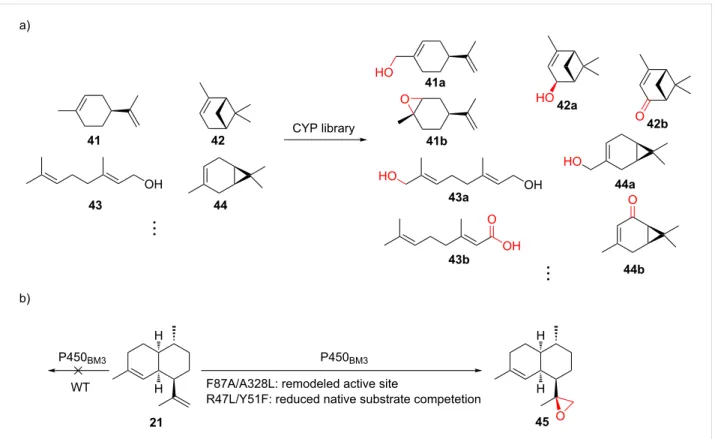 Figure 10: Substrate promiscuity and engineering of CYPs. a) Selected examples from using a CYP library to oxidize various monoterpenes
