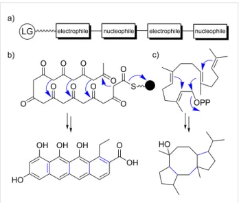 Figure 2: Repetitive electrophilic and nucleophilic functionalities in terpene and type II PKS-derived polyketide biosynthesis
