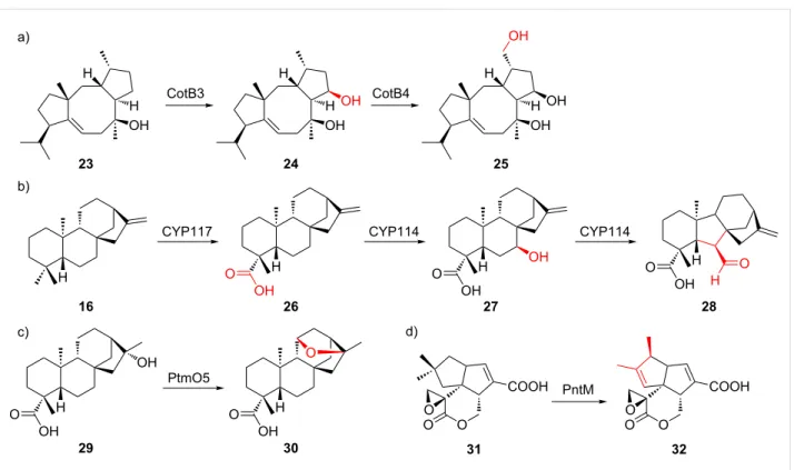 Figure 7: Selected examples of terpene modification by bacterial CYPs. a) Hydroxylation [89]
