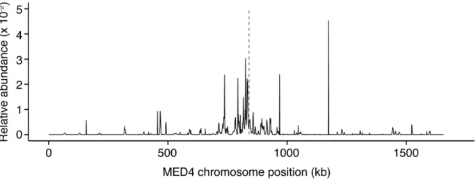 Fig. 2. Prochlorococcus membrane vesicles contain genomic DNA sequences. Distribution of  DNA associated with vesicles from Prochlorococcus MED4 cultures