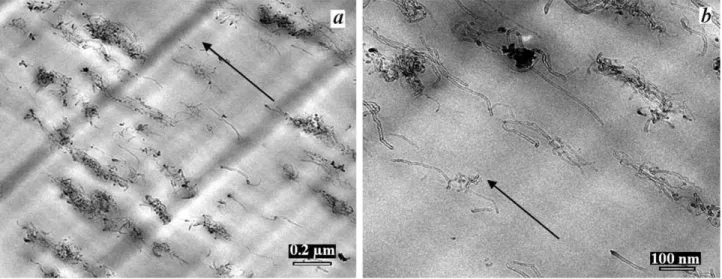 FIG. 3. TEM images of PET/3% MWCNT and CNT orientation at 20% of DR max along ﬁber axis at two different magniﬁcations.