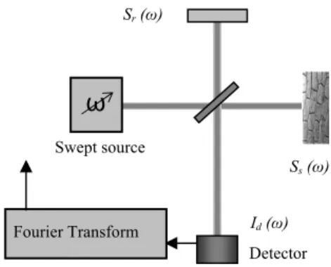 Figure 1.  Spectral domain OCT  Detector array Grating spectrometerFourier Transform Broadband source Sr (ω) Ss (ω)    Id (ω) 