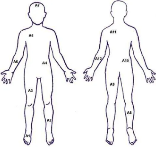 Figure  3:  Mean  skin  temperature  of  lifeboat  coxswain,  assistant,  and  interior  air  temperature  during  2-hour  sea  keeping  exercises  (AM)