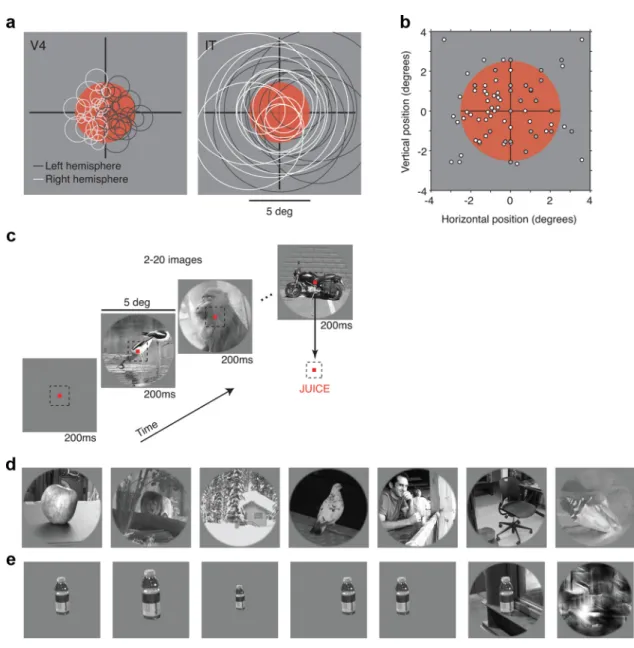 Figure 2. Experimental design. a, Most images were displayed in a 5°-diameter aperture located at the center of gaze (red)