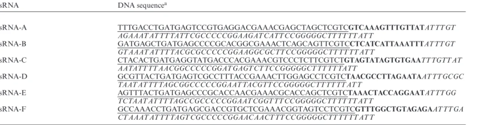 Table 1. sRNA sequences