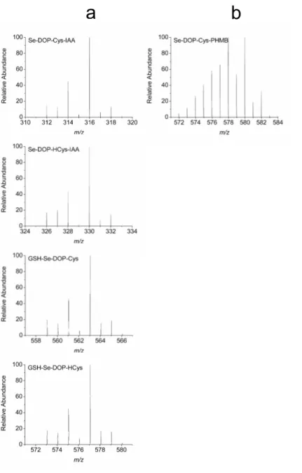 Figure  4. Mass  spectra  of  a,  IAA  derivatized  Se-DOP-Cys  (Se-DOP-Cys-IAA),  IAA  derivatized  Se-DOP-HCys  (Se-DOP-HCys-IAA), GSH-Se-DOP-Cys,  and  GSH-Se-DOP-HCys;  b,  PHMB  derivatized  Se-DOP-Cys (Se-DOP-Cys-PHMB),  using  the  Orbitrap mass spe