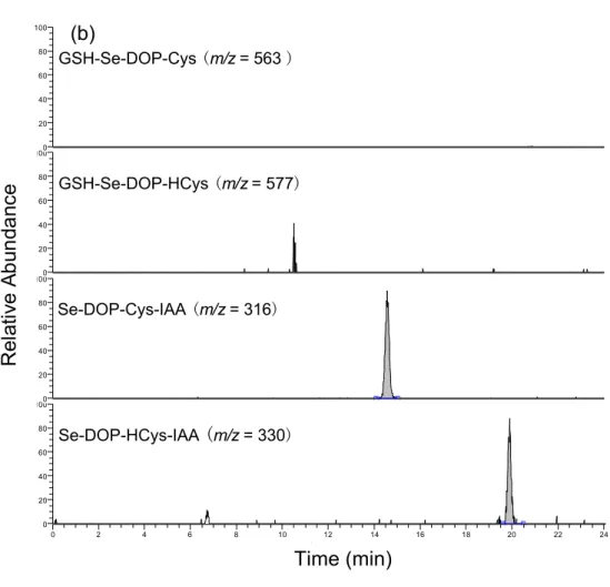 Figure  5.  Representative  chromatograms  showing  six  selenocompounds  in  the  selenium  pathway (a), and other four selenocompounds (b) in selenium enriched yeast SELM-1, with the addition of DTT