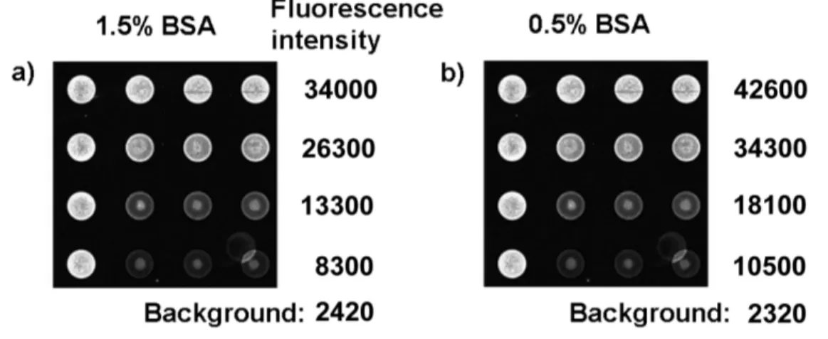 Figure S1. Fluorescent images of macroinitiator 7 bound to test surfaces after the different  concentrations of BSA were pre-treated onto the chip surfaces: (a) 1.5% BSA (40 µL) and (b)  0.5% BSA (40 µL)
