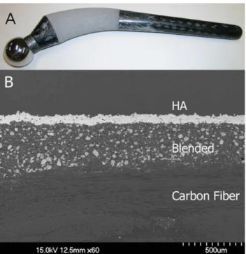 FIGURE 1. Photograph of (A) the composite femoral prototype stem and (B) its three material components