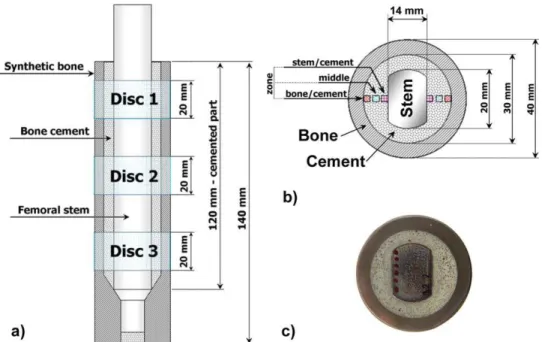 FIGURE 1. Schematic representation of cemented hip implant: (a) experimental model, (b) cross-section with speciﬁc zones of analysis, (c) physical cross-section