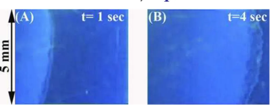 Figure 5. (A) Wetting front into a bump array at t = 1 s after wetting from the left side