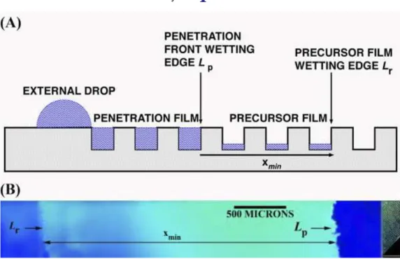 Figure 6. (A) Schematic of the observed precursor film in the array.