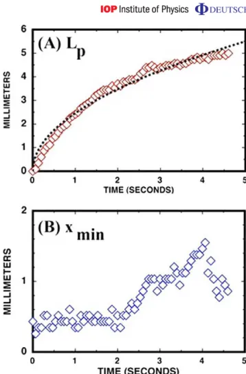 Figure 7. (A) Curve fit of equation (13) to the position of the main wetting front L p versus time